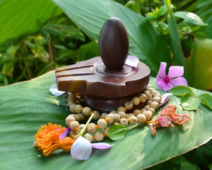 Narmada Jaladhari Yoni Base 3.5" Con 2" Lingam Shivling Con Tulsi Mala -7076 - Picture 1 of 8