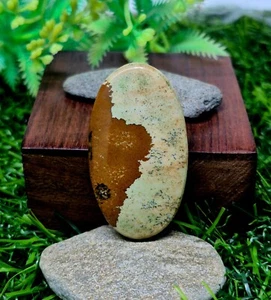 Natürlicher brauner Bild Jaspis Cabochon ovale Form lose Edelstein für Schmuck - Bild 1 von 5