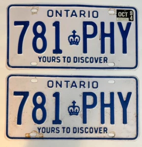 Par de matrículas de Ontario 1994 Yours to Discover # 781-phy - Imagen 1 de 1