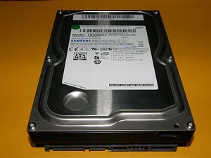 80 GB Samsung HD082GJ / P/N: 267921JQ613637 / BF41-00163A REV.01 - Disco duro - Imagen 1 de 1