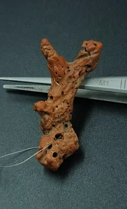 Natürlicher italienischer roter Korallenzweig alter Bestand antike Koralle polierter Zweig Schmuck - Bild 1 von 10