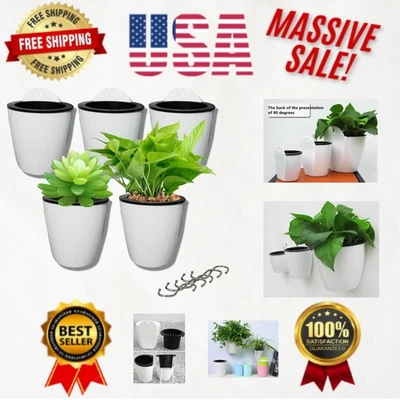 Самополивающиеся подвесные сеялки для суккулентов упаковка 5 шт. — стильные и функциональные - Изображение 1 из 4