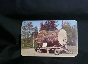 Vintage Washington/Oregon - Sitka Fichtenstamm - verschickt 1952 - Bild 1 von 2