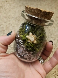 Live Moss Terrarium Glass Bottle Self-Sustaining Plants Rare - Picture 1 of 2
