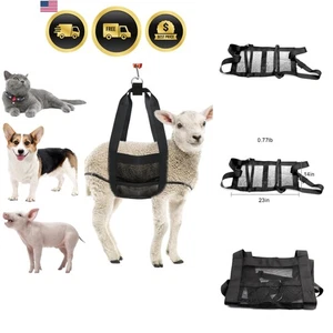 Imbracatura bilancia bestiame per capre pecore vitelli imbracatura pesante pesa animali - Foto 1 di 11