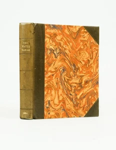 The Water-Babies: A Fairy Tale for a Land-Baby (First Edition) - Picture 1 of 1