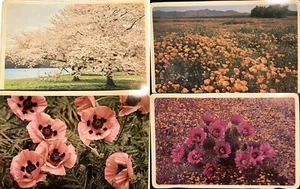 Tischsets Vintage (4) Blumen laminiert doppelseitig waschbar 17"X11" PET RESCUE - Bild 1 von 6