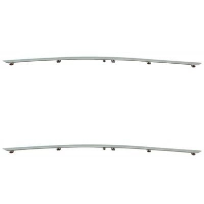 Set of 2 Bumper Face Bar Trims Molding Step Pads Front Driver & Passenger Pair Foto 1 de 4