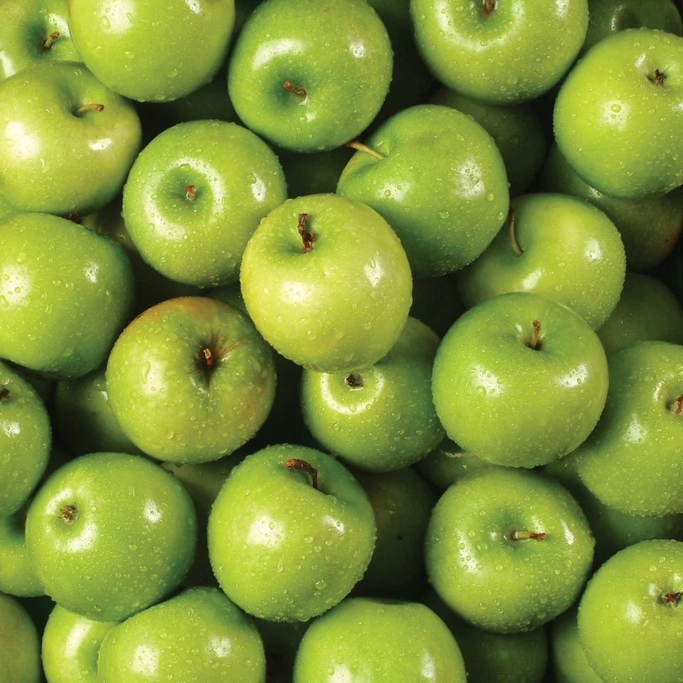 Papel Manzanas Verdes 12x12, 15 Hojas Patrón Artesanía Álbum de Recortes Papel Manzana Foto 1 de 1