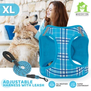 Hundegeschirr und Leine Set Atmungsaktiv Luftnetz Brustgurt reflektierende Jacke blau - Bild 1 von 11
