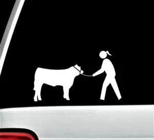 Cow Cattle Show Halter Lead Chain Girl Decal Sticker Derby Barn Western H1087 - Picture 1 of 5