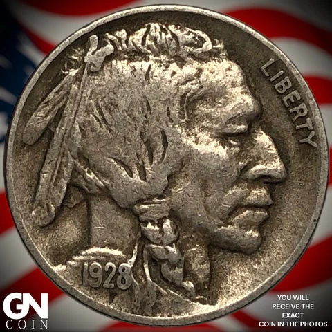 1928 D Buffalo Nickel Q6718 Cover