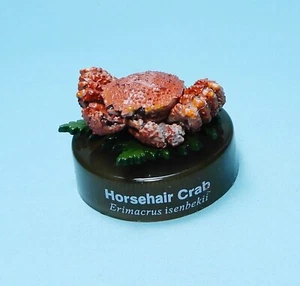 Kaiyodo Hokkaido Figure Collection Horsehair crab Bottle figure US seller New - Picture 1 of 3