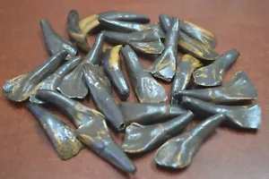 50 GENUINE BROWN BUFFALO TEETH TOOTH PENDANTS (NO HOLE) #T-548A - Picture 1 of 1
