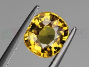 Ceylon Yellow Sapphire VS 9x8mm Cushion 2.69ct Loose Faceted Natural Gemstone - Picture 1 of 12