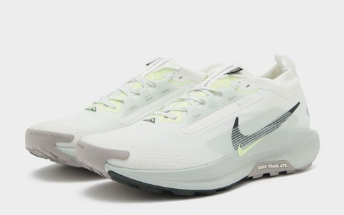 Nike Pegasus Trail 5 GORE TEX