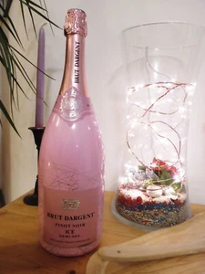 MAGNUM BRUT DARGENT PINOT NOIR 2023 ICE ROSE 11%Alk. DEMI SEKT FRANCE 1,5L - Bild 1 von 7