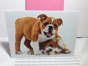AVANTI PRESS HAPPY BIRTHDAY GREETING CARD New w/Envelope "Age has its privileges - Picture 1 of 2