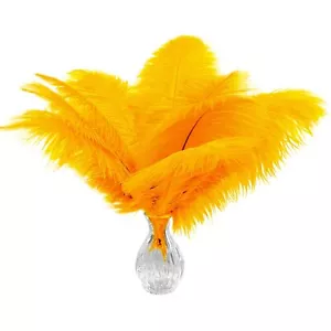 40pcs Gold Ostrich Feathers 10-12 inch 25-30cm Bulk Feathers for Decoration a... - Picture 1 of 6