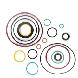 FS2M101803 Diesel Oil Pump Repair Kit With Oil Seal Plug Fit For CP2.2 CPN2 Pump - Picture 1 of 10