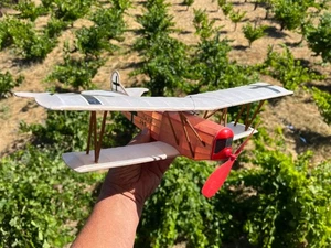 Deutsches Modellflugzeug WW1 - Bild 1 von 6
