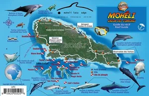 Moheli Comoros Islands Africa Dive Map & Reef Creatures Laminated Fish ID Card - Picture 1 of 2