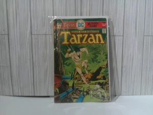 DC Comics Tarzan Dezember 1973 Band # 28 Nr # 244 Comic Buch / eingetütet & mit Karton - Bild 1 von 14