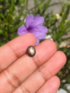 2.50 Cts A GORGEOUS NO HEAT BLACK STAR SAPPHIRE OF EXCELLENT 6 RAYS SHARP STAR ✨ - Picture 1 of 10