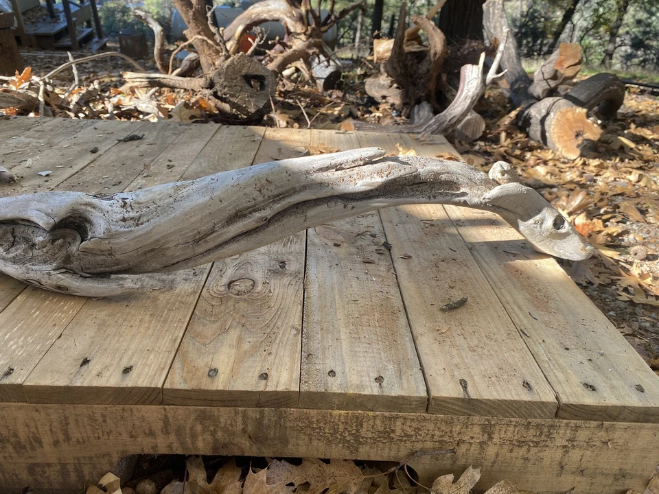 All-Natural manzanita driftwood , 27” branch for Reptiles, Birds, or Fishtank  - Image 1 of 4