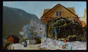 FOTOGRAFÍA ANTIGUA WOOD STACK AT EIDE NORWAY 1907 Magic Lantern Slide - Imagen 1 de 5
