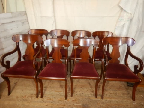 Set of 8 EMPIRE style MAHOGANY Dining Chairs BIGGS Sabre Leg Arm & side chair Cover
