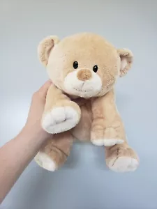 TY Pluffies 2007 Baby Woods hellbraun Teddybär genähte Augen Floppy Lovey Plüschtier - Bild 1 von 7