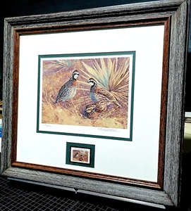 Eldridge Hardie 1992 Texas Quail Stamp Print con francobollo come nuovo - cornice nuova - Foto 1 di 5
