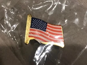 🇺🇸 Old Glory 🇺🇸 United States Flag Lapel Pin 🇺🇸 Charity Auction 🇺🇸 - Picture 1 of 2