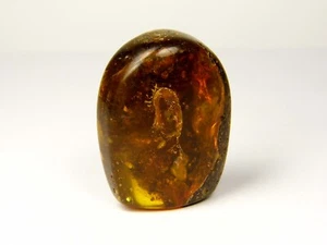 Baltic Amber Stone 21 grams Brown Green Black Natural Polished Gemstone 1038 - Picture 1 of 14
