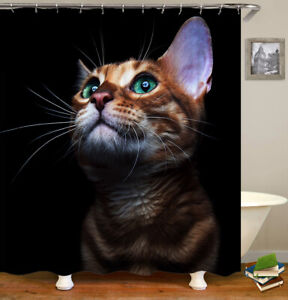 Orange Cat Shower Curtain with Hooks Animal Print Bathroom Decor 72 Inches
