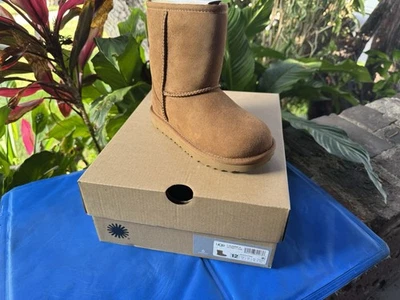 UGG T Classic II Toddler Size 12 Chestnut Brown - Image 1 of 4