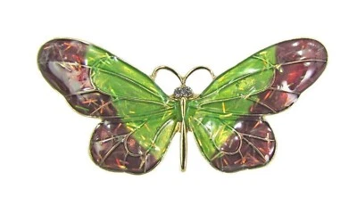 Broche Pin Mariposa Colorido Verde y Marrón con Ojos de Cristal Mariposa Grande Foto 1 de 4