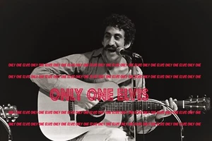 Estrella Cantante Tardía JIM CROCE 1972 8x10 Foto en CONCIERTO IMPRESIONANTE IMAGEN INVISIBLE 001 - Imagen 1 de 1
