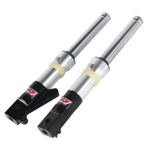 NCY SLAMMED FRONT FORKS / SHOCKS (SILVER, DISC) HONDA RUCKUS, DIO - Picture 1 of 4