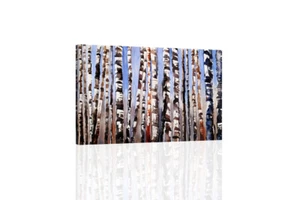 Birch Trees III - CANVAS OR PRINT WALL ART - Picture 1 of 2