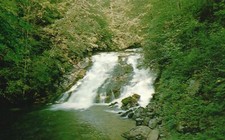 Great Smoky Mts. Nat'l Park, NC, Indian Creek Falls, Vintage Postcard e6468