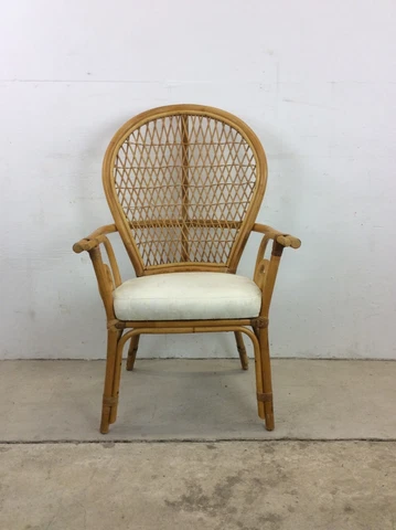 Vintage Fanback Rattan Accent Chair with Upholstered Seat Cover