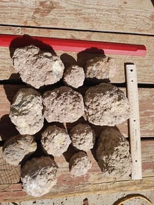 Thundereggs, Oregon, 14 to 15 Pound lot, As Found Uncut Rough, Agate - Picture 1 of 10