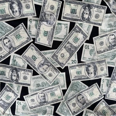 Tela estampada de billetes de dólar americano placeres y pasatiempos acolchado algodón 89"x42" Foto 1 de 4