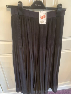 Ladies Brand New Skirts From Hm S 33 Inches Long  - Image 1 of 4