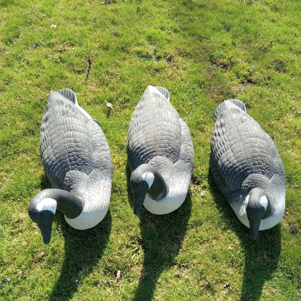 Señuelo de agua flotante Flambeau grande detallado 25" de caza de gansos canadienses   Foto 1 de 4