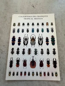 Tropical Beetles  Coleopteres Des Tropiques Postcard - Picture 1 of 3