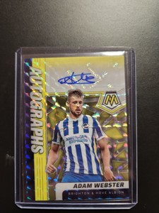 Adam Webster Mosaic Auto 4/5 Florescent Yellow