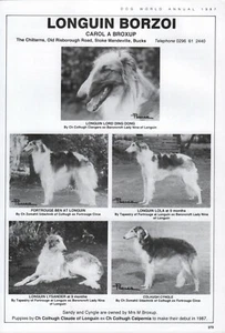 BORZOI HUNDEWELT 1989 HUNDESRASSE ZWINGER WERBUNG DRUCKSEITE LANGGUIN ZWINGER - Bild 1 von 1